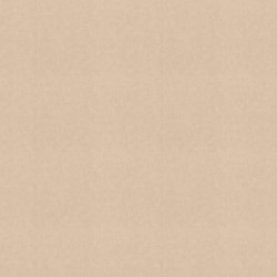 990379 Обои Rasch (Unitex) (1*6) 10,05x1,06 винил на флизелине